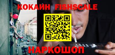 индика Рузаевка