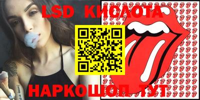 индика Рузаевка