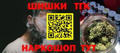 индика Рузаевка