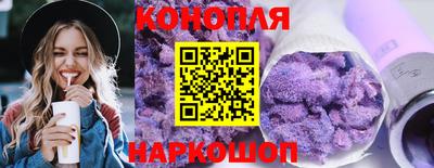 индика Рузаевка