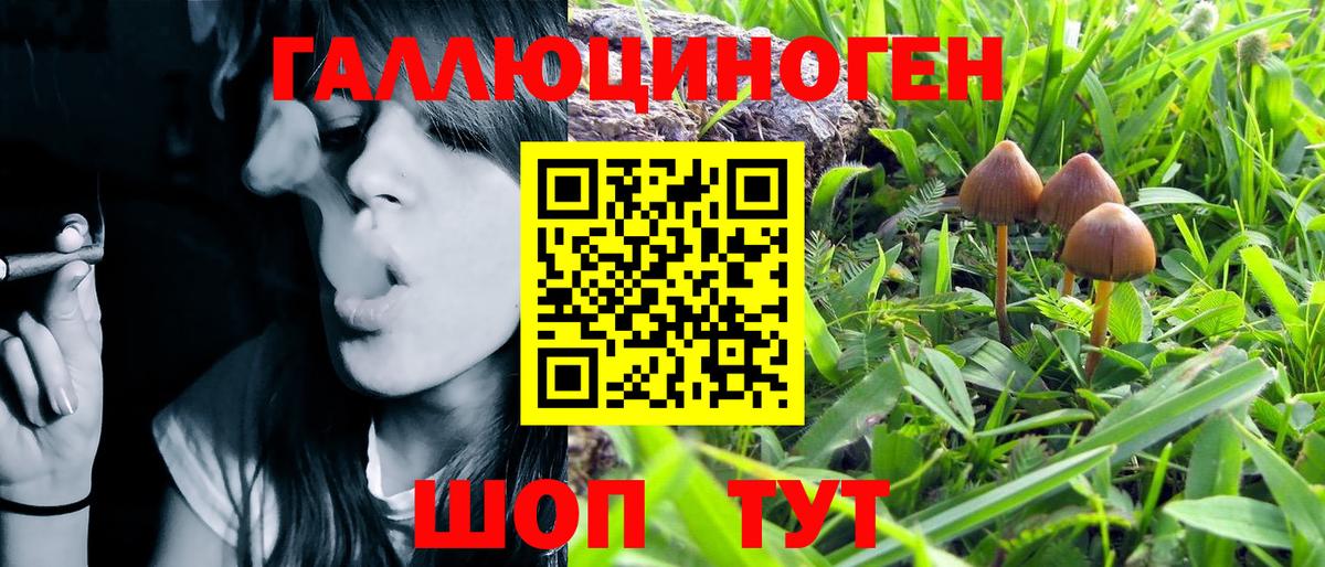 Семёнов  Галлюциногенные грибы MAGIC MUSHROOMS  Вход с VPN  Псилоцибиновые грибы Cubensis 